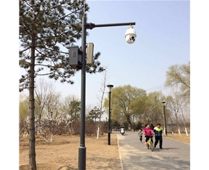 那曲路灯监控杆-LB-03